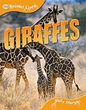 Giraffes
