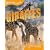 Animal Lives: Giraffes (QED Animal Lives)