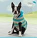 Seamless Knits for Posh Pups