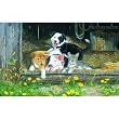 Best of Friends 300pc Jigsaw Puzzle by Terry Doughty