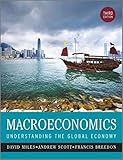 Macroeconomics : understanding the global economy