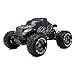 1/8Th EP Mad Beast Monster Truck Racing Edition Ready to Run w/ 540L Brushless Motor/ ESC/ Lipo Battery (Black/Silver) **CHARGER NOT INCLUDED**