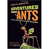 Adventures among Ants: A Global Safari with a Cast of Trillions
