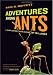 Adventures among Ants: A Global Safari with a Cast of Trillions