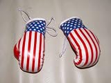 MIni Boxing Gloves (car) USA