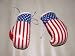 MIni Boxing Gloves (car) USA