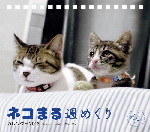 2013���������ͥ��ޤ� ���᤯�� ([��������])