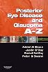 Posterior Eye Disease and Glaucoma A-Z
