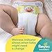 Pampers Swaddlers Diapers Size 3, 27 Count