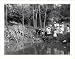 Historic Print (L): [Group of public school children looking at beaver dam in the National Zoo(?), Washingto