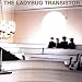 The Ladybug Transistor