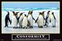 Empire 420503 Motivational - Confomity Poster - 91.5 x 61 cm