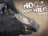 Hog Drive