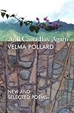 And Caret Bay again : new and selected poems