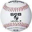 Wilson Minor League and Coach Pitch Play Baseball (12-pack)