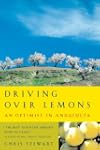 Driving Over Lemons: An Optimist in A...
