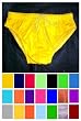 Nylon/Lycra Drawstring Swimwear Bikini Brief with Seamless Front in 21 Colors (Click to see colors)