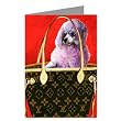 louis handbag