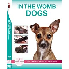 IN THE WOMB DOGS - Region 2 PAL UK - the Wolf, the Mastiff, the Retriever and the tiny Chihuahua.