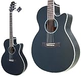 TAKAMINE Cooder TCP-580/BK エレアコギター