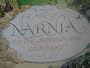 Chronicles of Narnia Map Posters