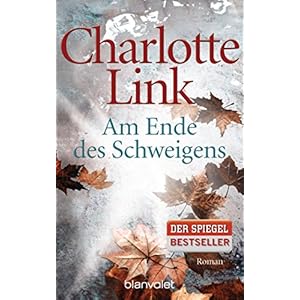 Am Ende des Schweigens: Roman