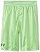 Under Armour Boys 2-7 Renegade Mesh Short Green