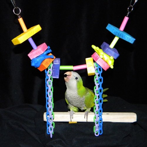 Monkey Business Cockatiel to African Grey Size 