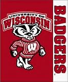 Wisconsin Badgers 50