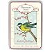 Cavallini Postcard Set- Holiday Birds Glitter Greetings