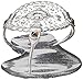 Jack Rogers Women's Sparkle Georgica Jelly Flip-Flop Sandal