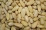 2LBS OF PINE NUTS!!!
