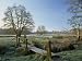 Frost at Thundery Meadows, Elstead, Surrey, England, UK Photographic Poster Print by ...