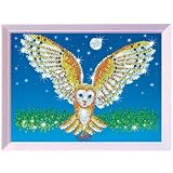 Sequin Art and Beads Barn Owl