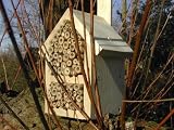 INSECT HABITAT