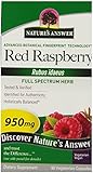 Nature's Answer Red Raspberry Leaf Vegetarian Capsules, 90-Count