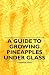 A Guide to Growing Pineapples Under Glass