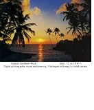 IDEALDECOR WALL MURALS & DOOR MURALS Wallpaper 276 Wallpaper IDEALDECOR WALL MURALS & DOOR MURALS Wallpaper -276 Wallpaper