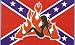 Rebel Retro Babe Flames Flag