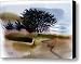 Miramonte Beach Canvas Print / Canvas Art - Artist Donald Maier