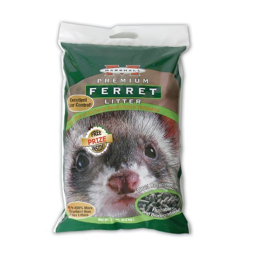 ferret supplies