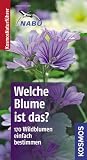 Welche Blume ist das?: 170 Wildblumeneinfach bestimmen - Typische Merkmale auf einen Blick - Wolfgang Dreyer, Eva-Maria Dreyer