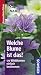 Welche Blume ist das?: 170 Wildblumeneinfach bestimmen. Typische Merkmale auf einen Blick