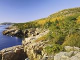 Acadia National Park Coastline, Maine, New England, USA Art Photographic Poster Print by Roy Rainford, 12x9