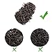 SE Black Tea Lapsang Souchong Loose Tea- 100% Natural Organic -High Grade Tea Leaf China Lapsang Souchong Organic Tea