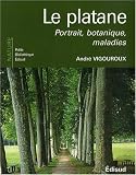 Le platane : Portrait, botanique, maladies