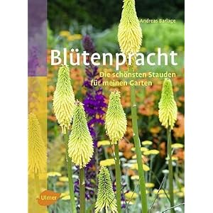 Blütenpracht - Die schönsten Stauden für meinen Garten