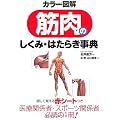 カラー図解 筋肉のしくみ・はたらき事典
