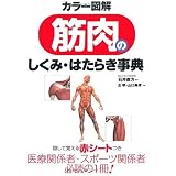 カラー図解 筋肉のしくみ・はたらき事典
