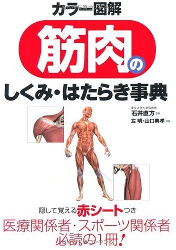 カラー図解 筋肉のしくみ・はたらき事典のJPEG画像